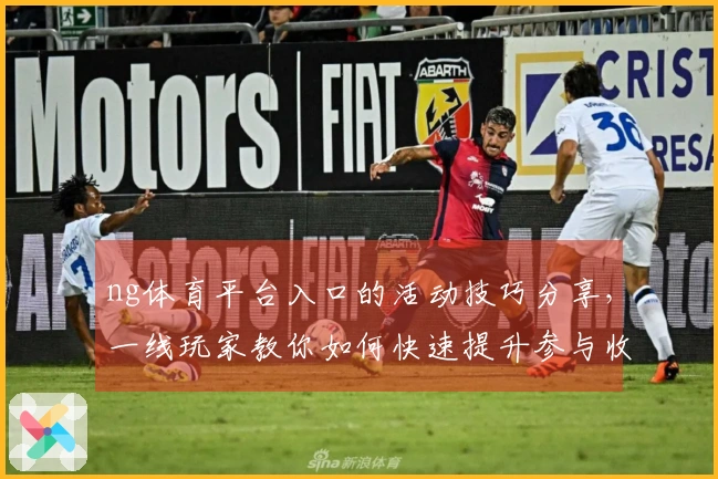 ng体育平台入口的活动技巧分享，一线玩家教你如何快速提升参与收益
